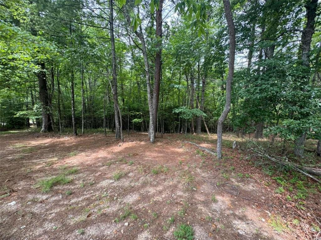 a view of backyard with green space