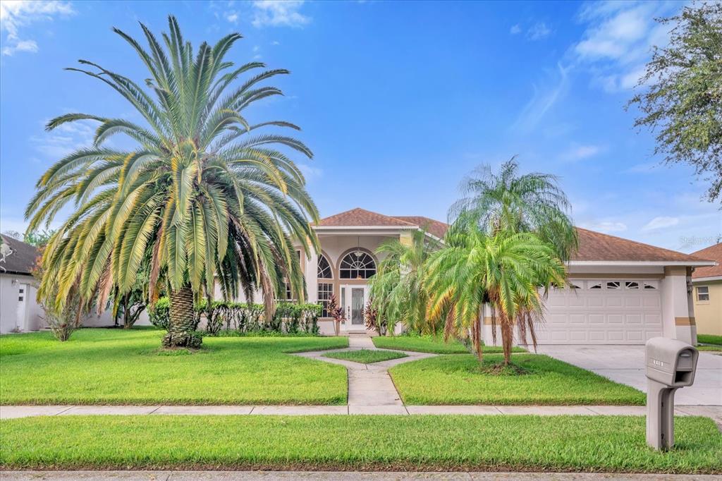 a view of a palm trees in front of a house