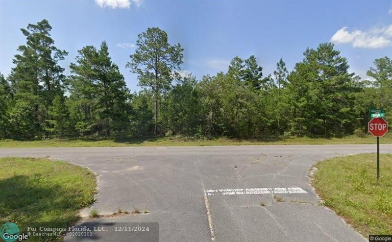 a view of a yard with an trees