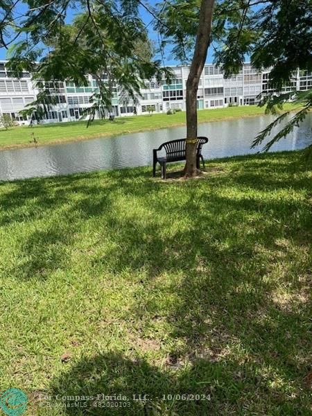 a view of a swimming pool with a bench and trees around