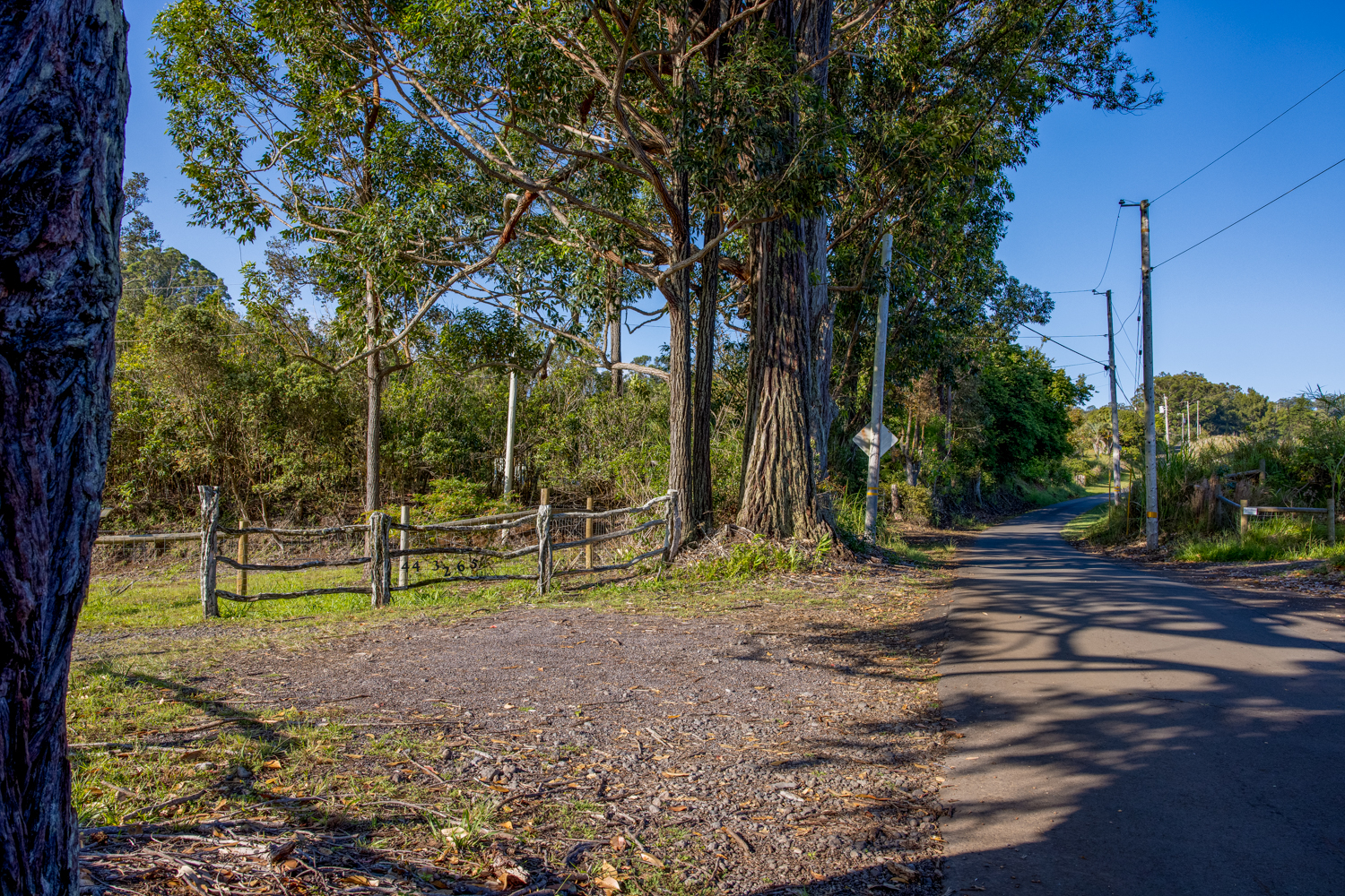 a view of park