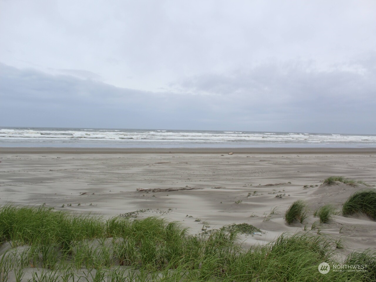 a view of beach and ocean