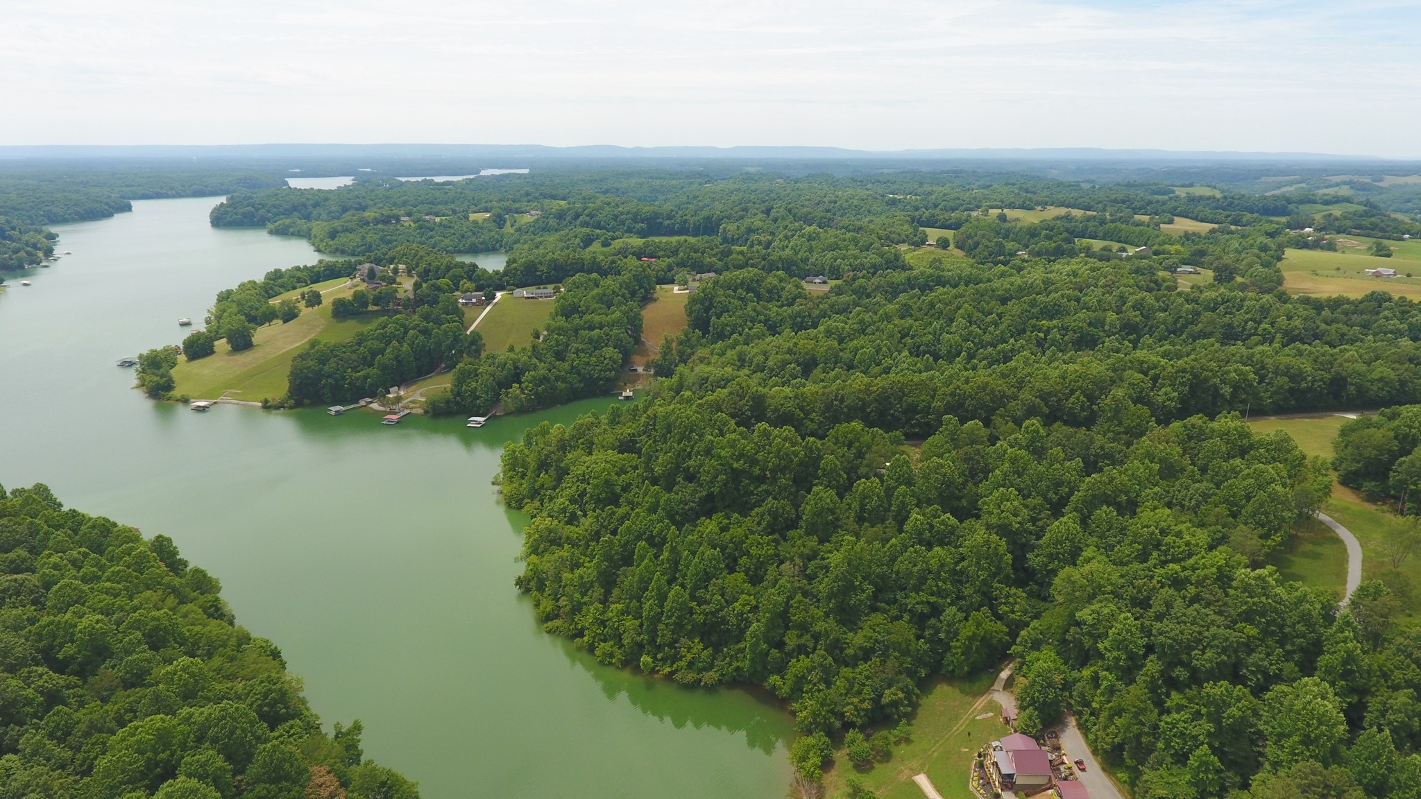 an aerial view of green landscape with trees houses and lake view