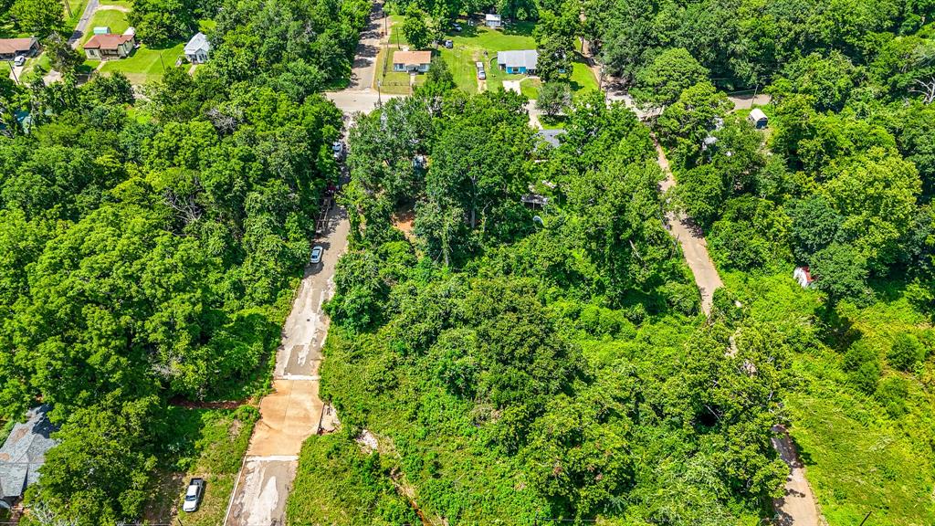 a view of a lush green forest with lots of trees