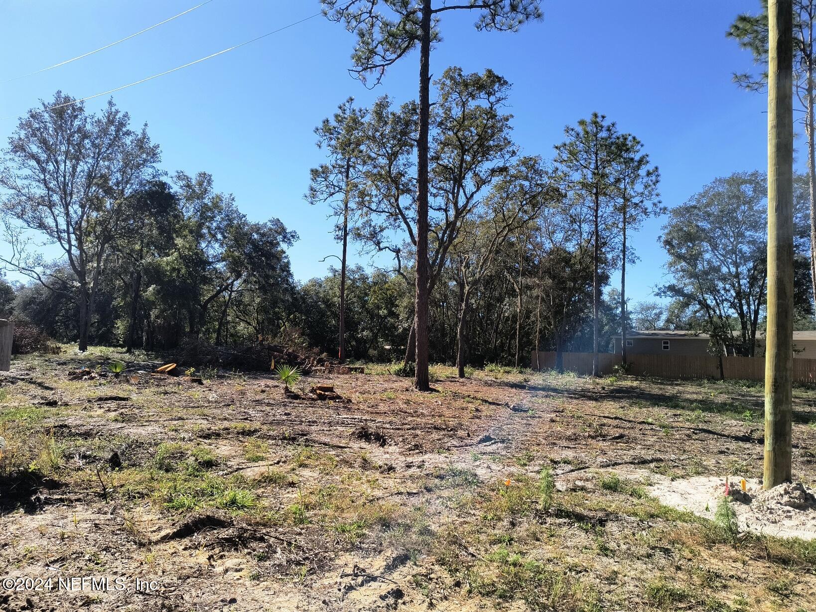 a view of a yard with trees