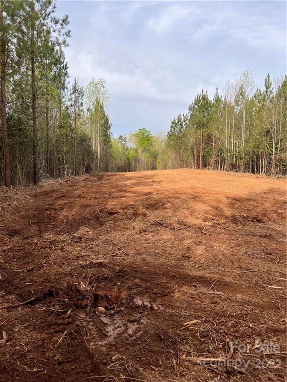 a view of dirt yard with large trees