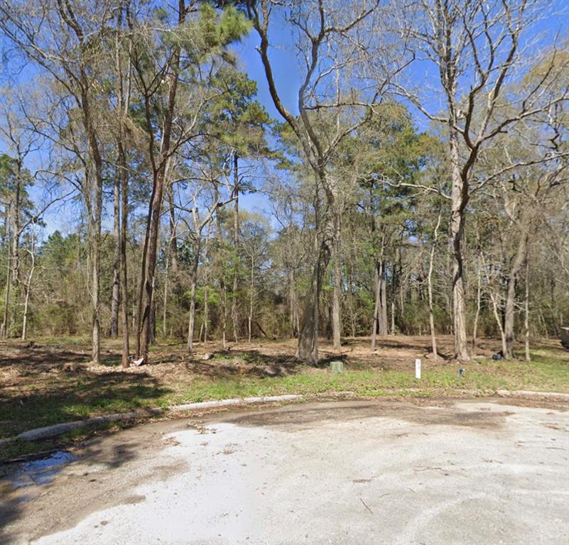 a backyard of apartments with large trees