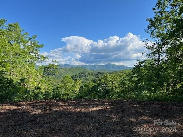 $120,000 | Lot 70 Round Top Road | Nantahala Township - Swain County