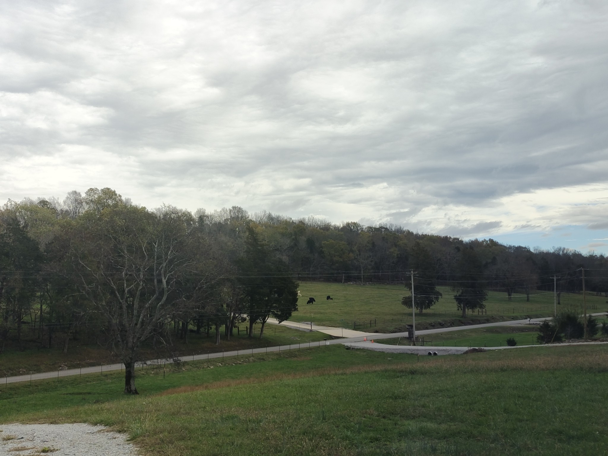 View from the top of the property.