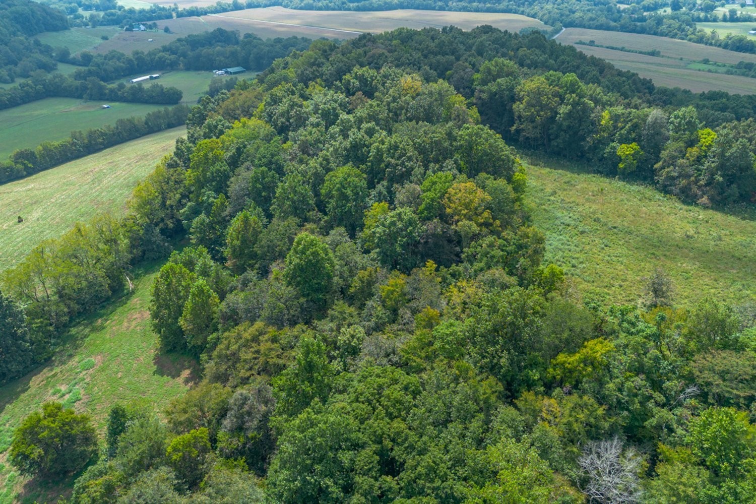 an aerial view of residential houses with outdoor space and trees