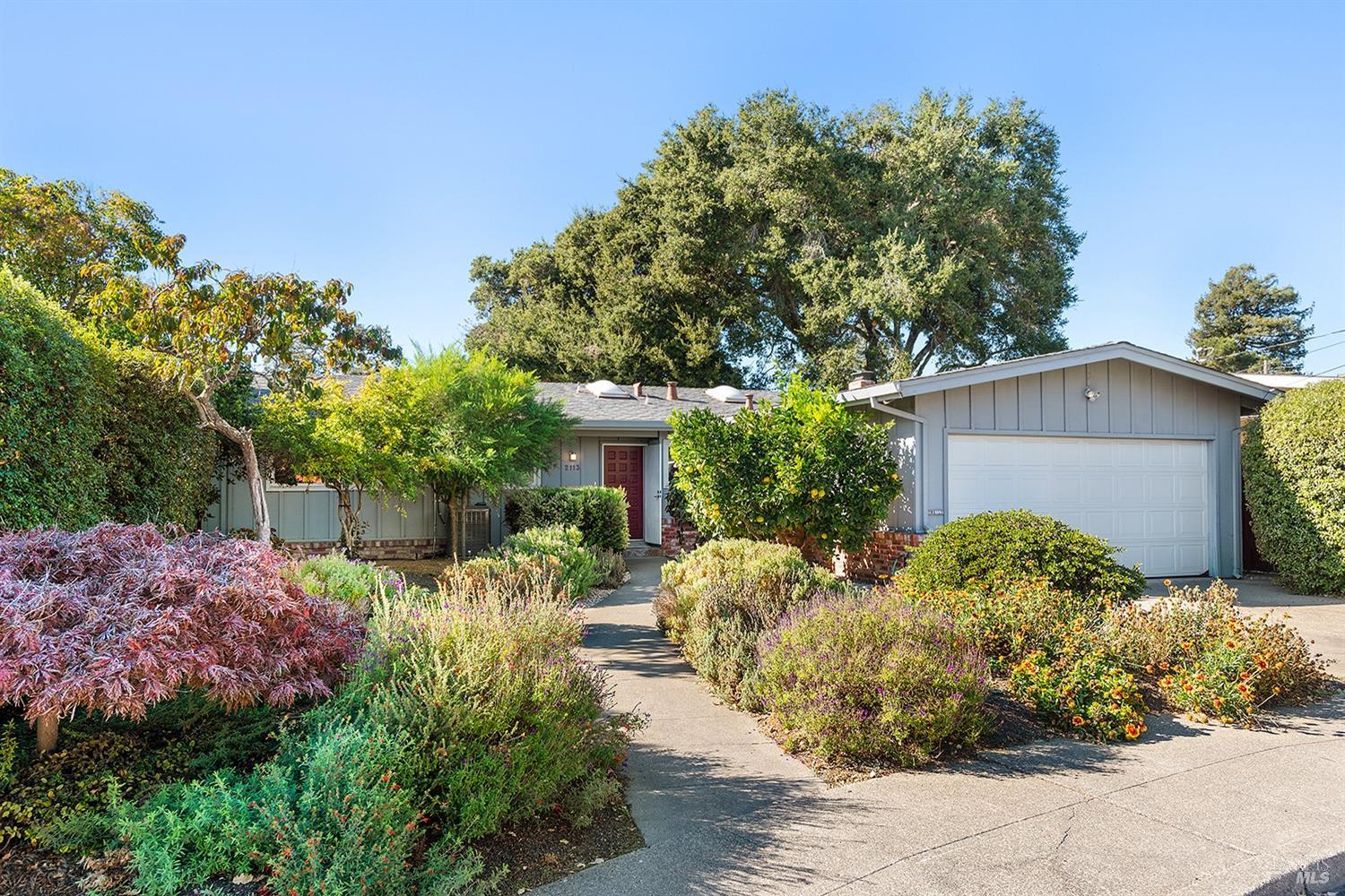 a view of a backyard with potted plants and large tree