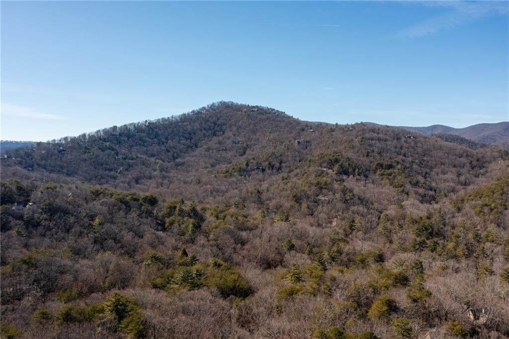 an aerial view of mountain and tree