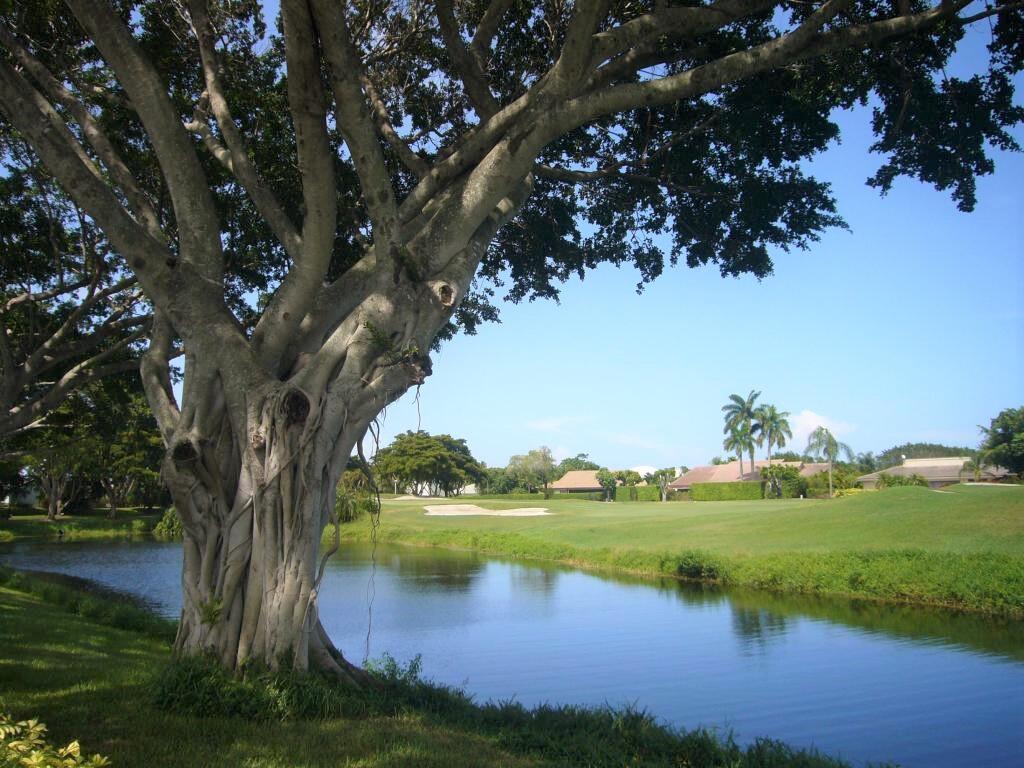 a view of a lake with a big yard