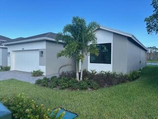 a house that has a tree in front of it