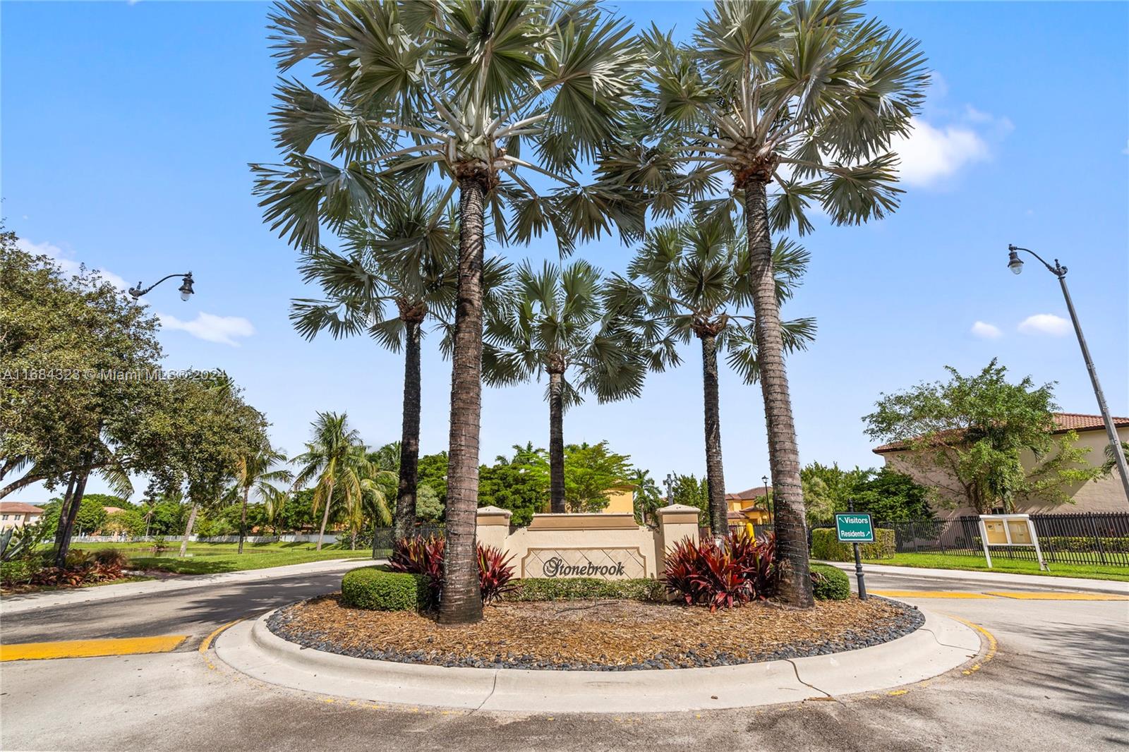 a view of a park with palm trees