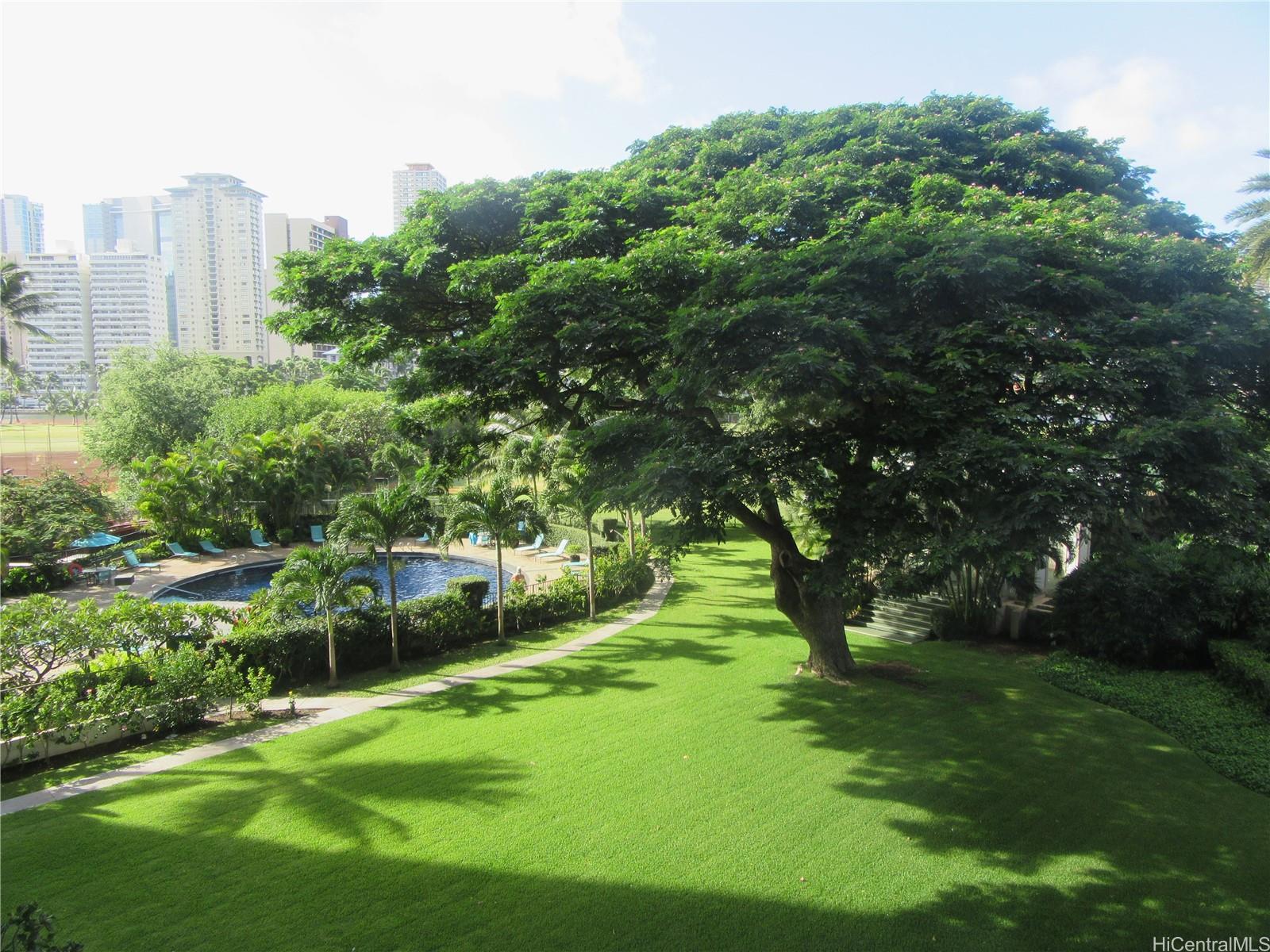 a view of a park with large trees