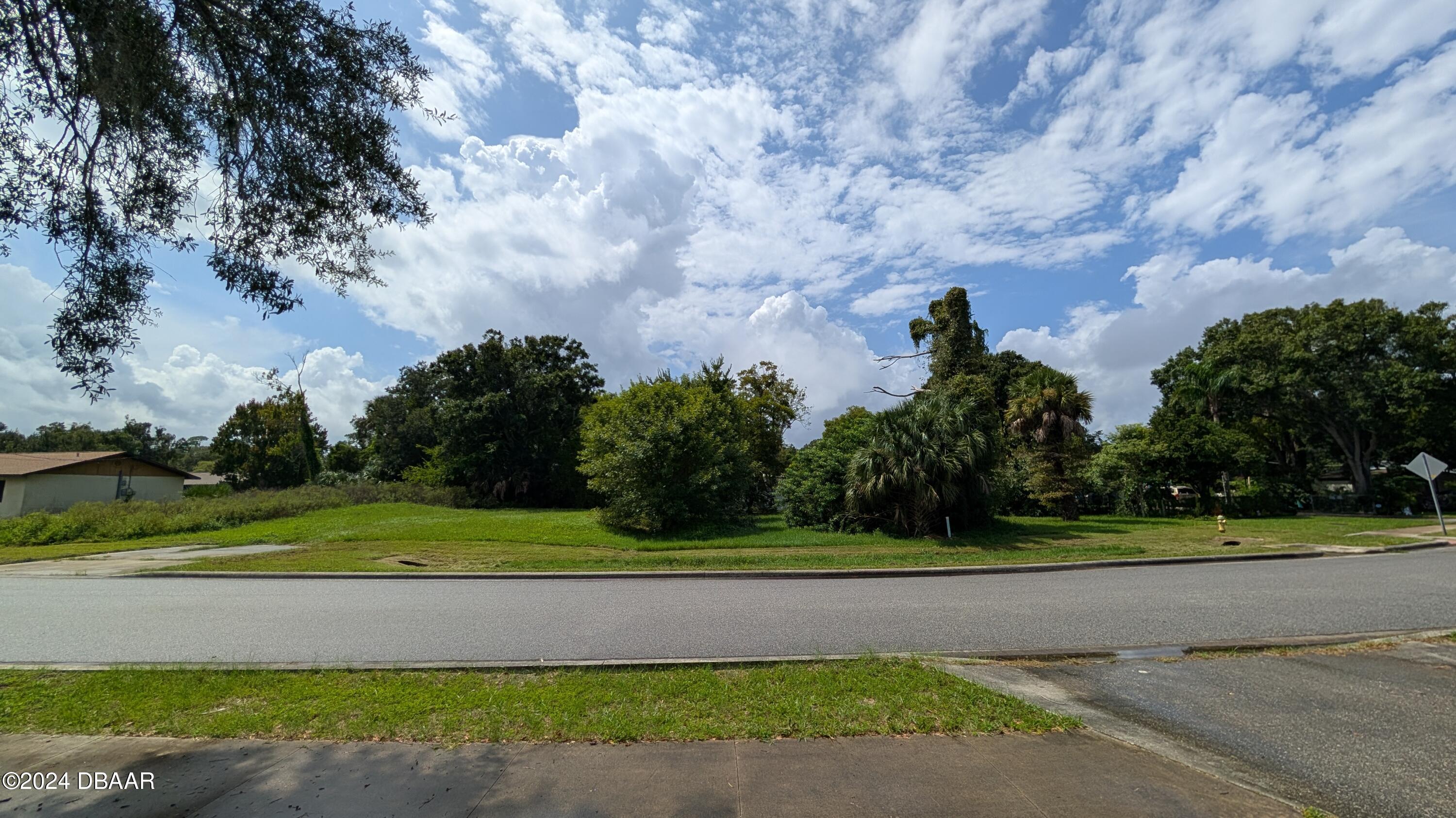 a view of a yard