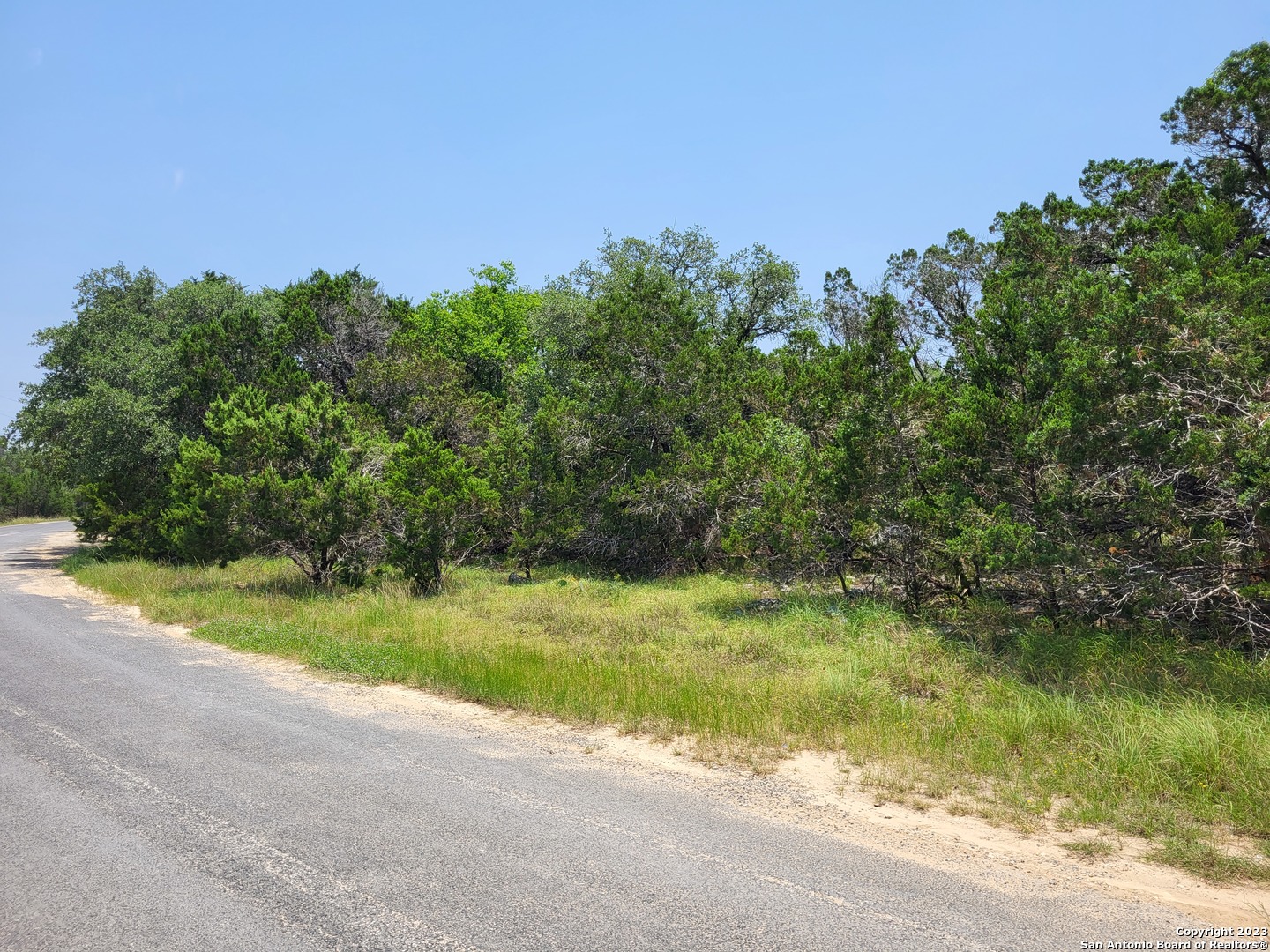 a view of a yard with a tree