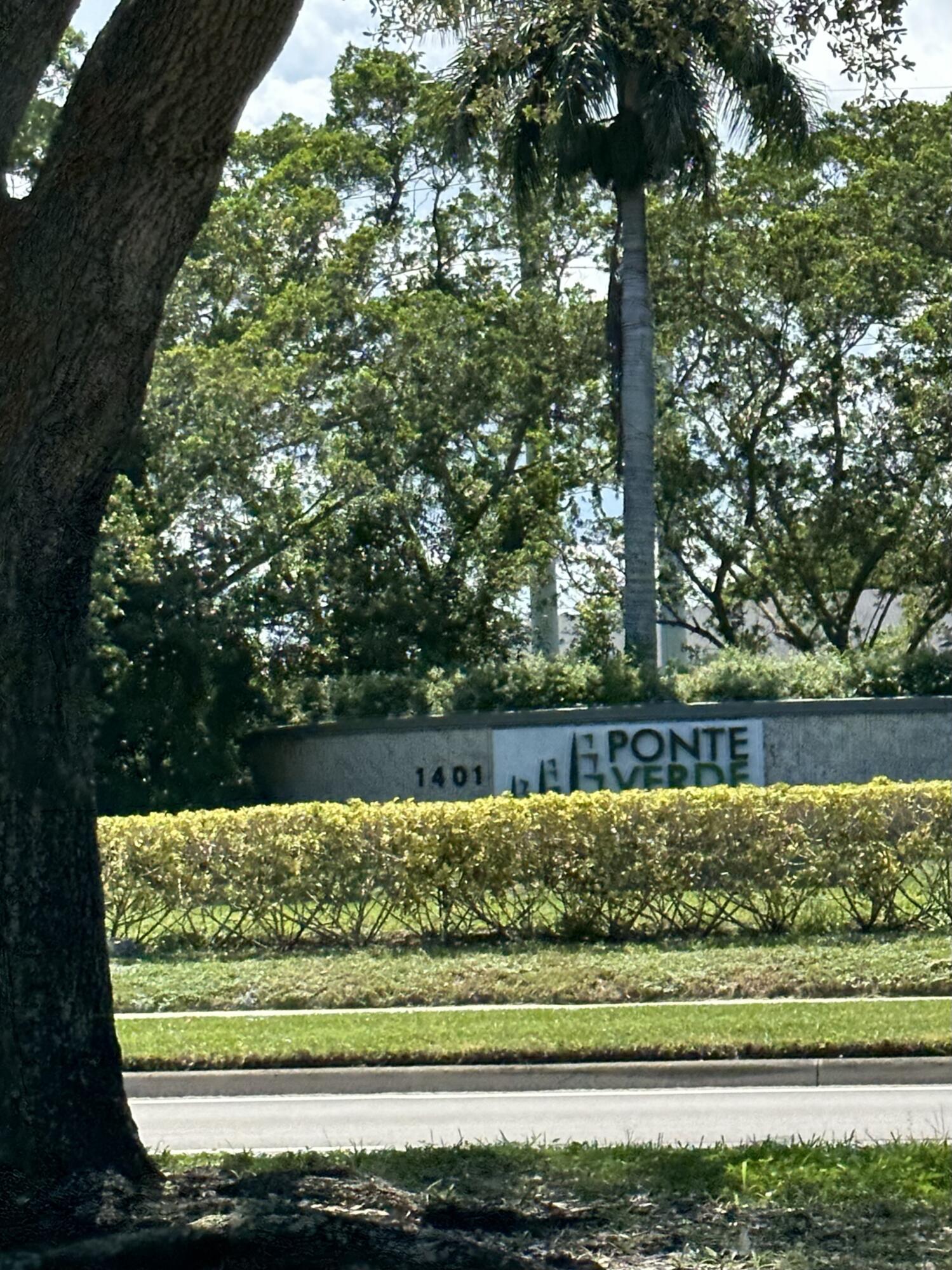 a view of a yard with a fountain