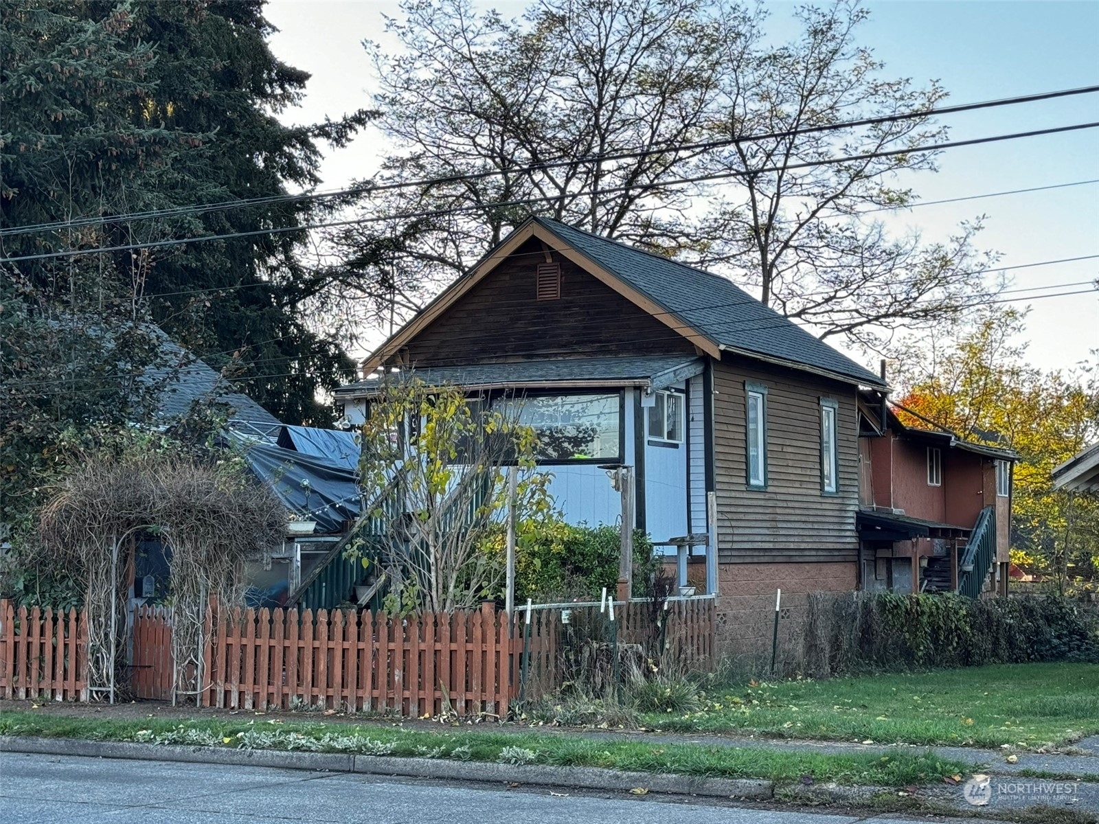 a house with a tree in front of it