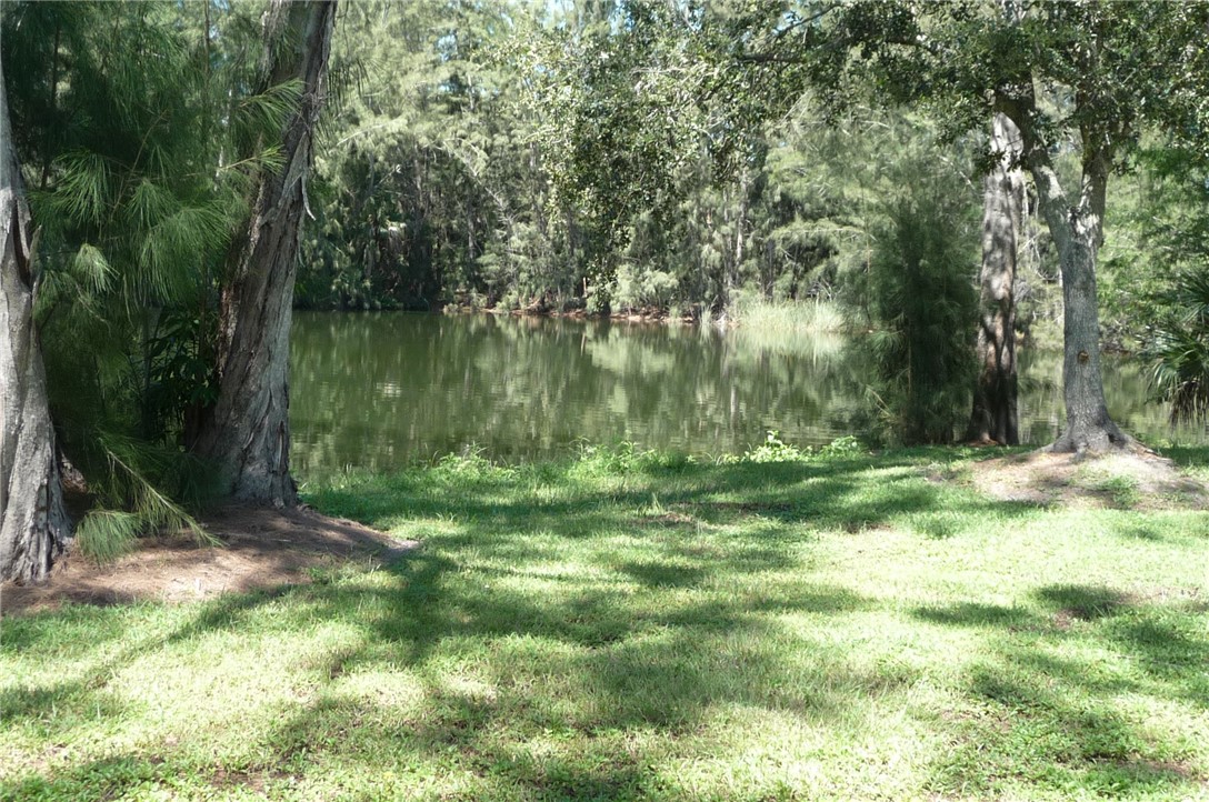 a view of a garden with a bench