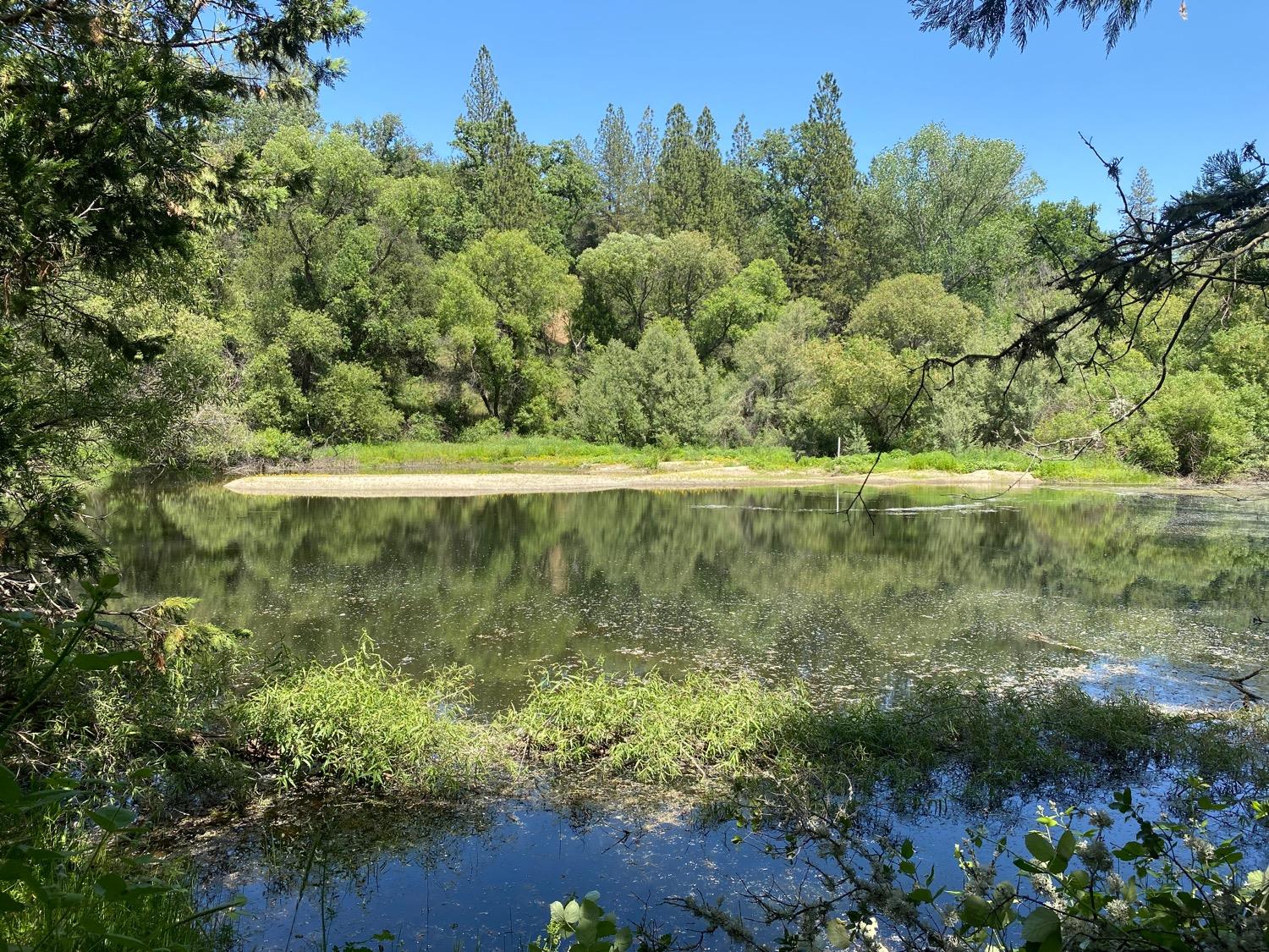 a view of a lake with a yard