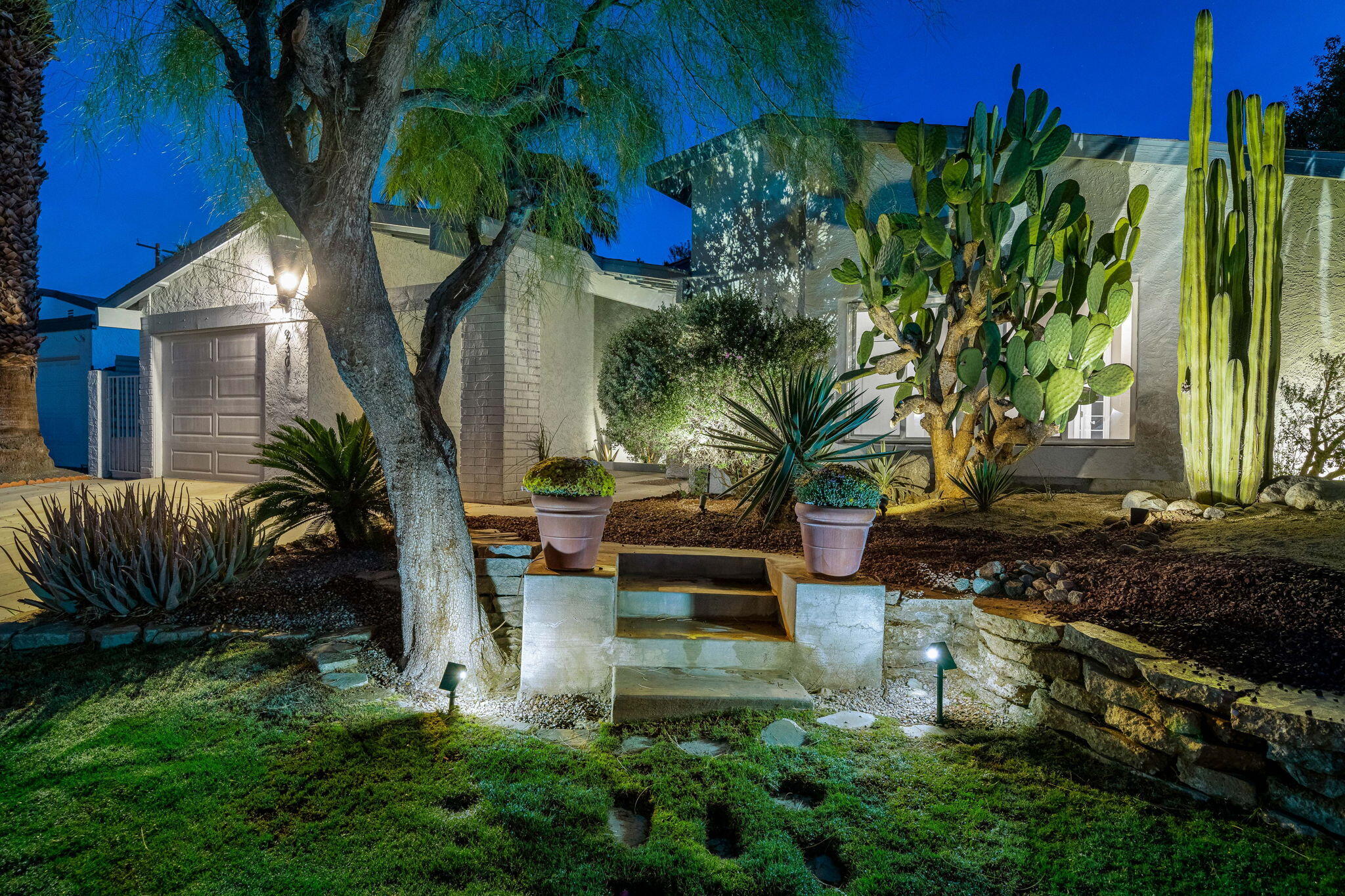 a view of a backyard with plants