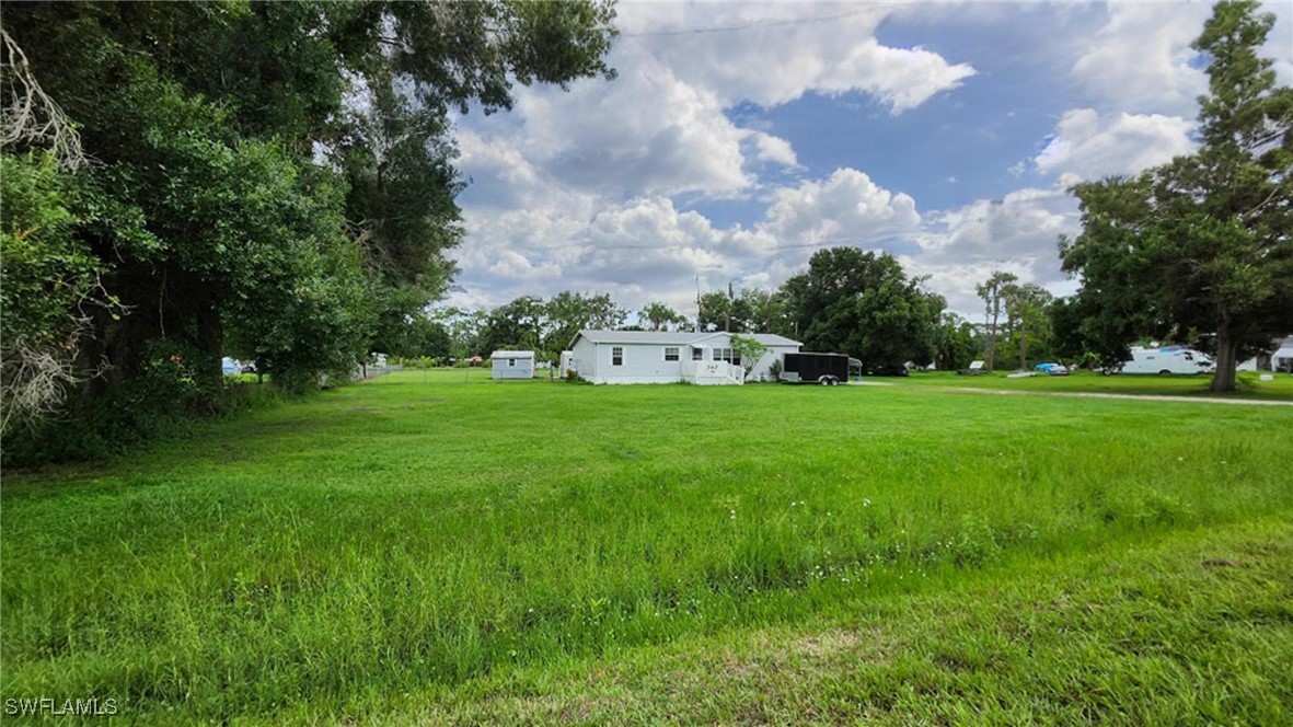 a view of yard with grass & trees