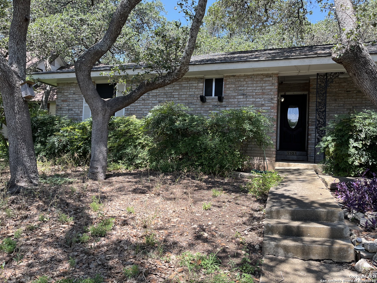 a view of a house with a tree in front of it