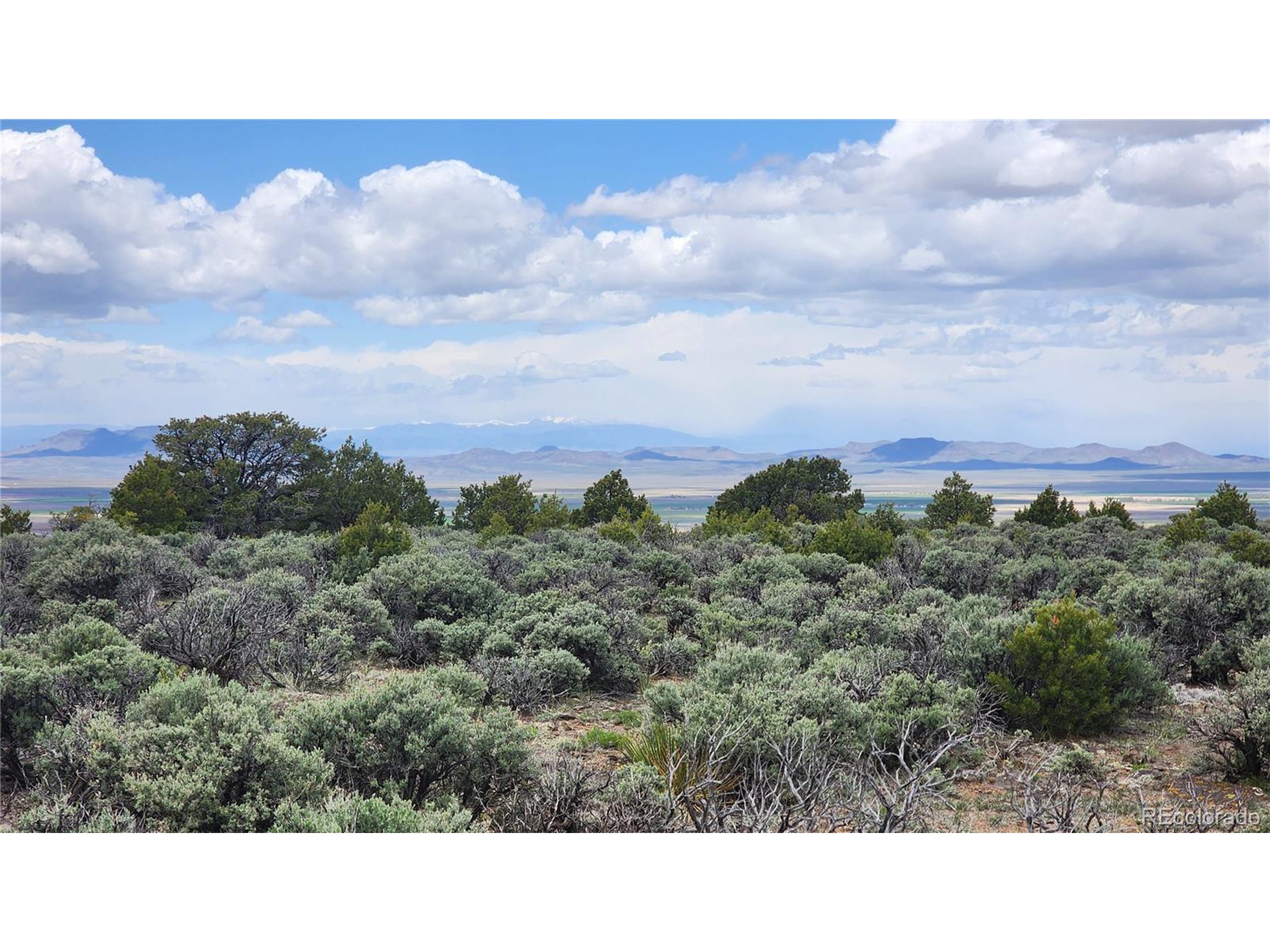 a open area with mountains in the back