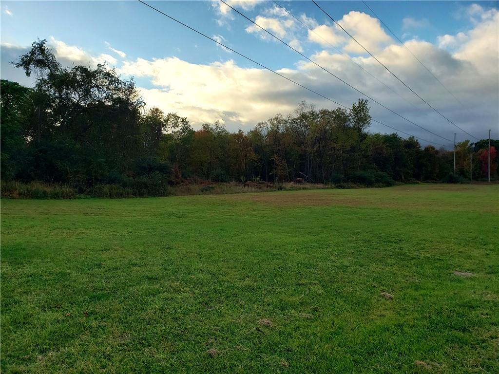 a view of a field of grass and trees