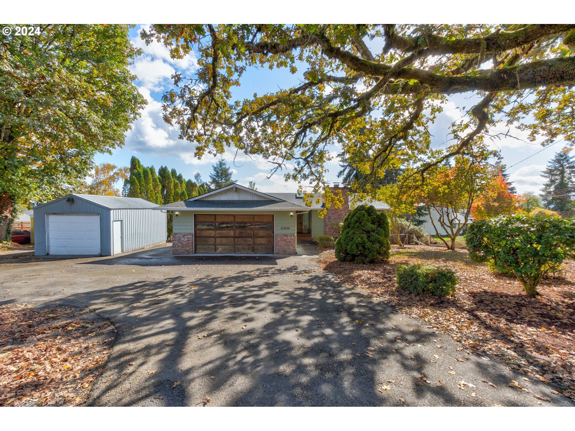 a view of house with backyard space and a tree