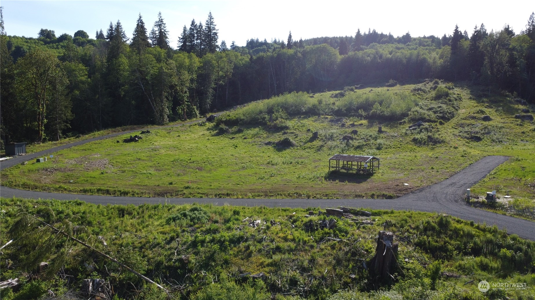 a view of a backyard