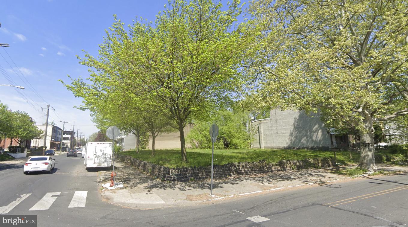 a view of a park with plants and trees