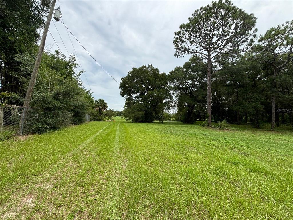 a view of a field of grass and trees