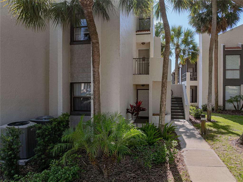 a couple of palm trees sitting in front of house