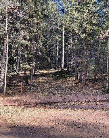 $29,900 | 222 Banner Trail