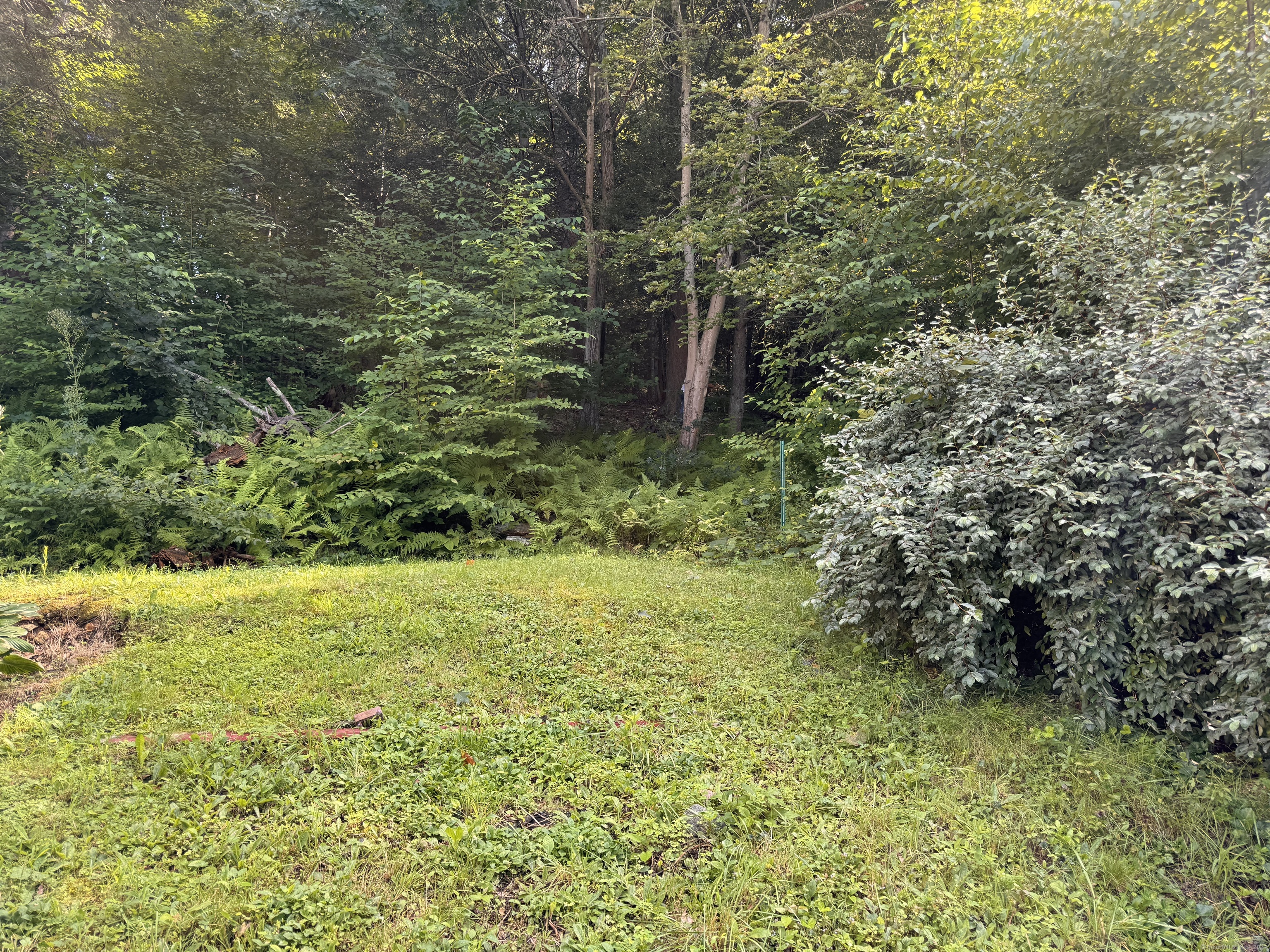 a view of a yard with an trees