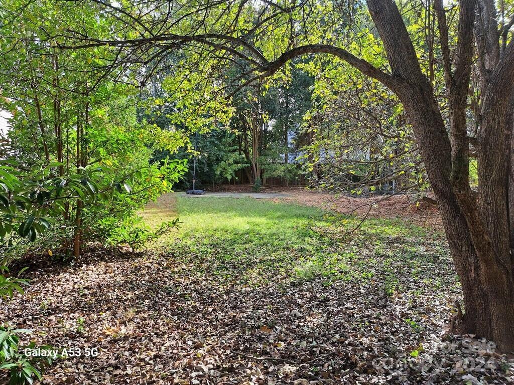 a view of a yard with a tree