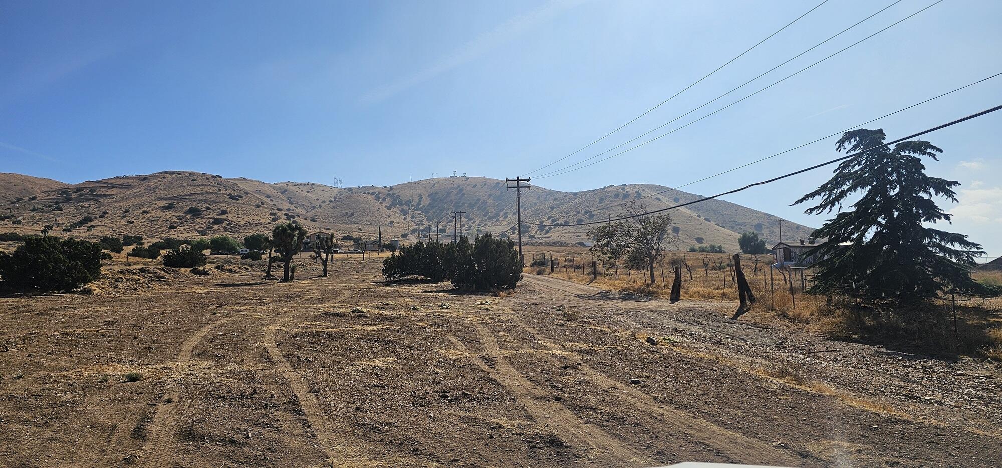 a view of a dry field with mountains in the background