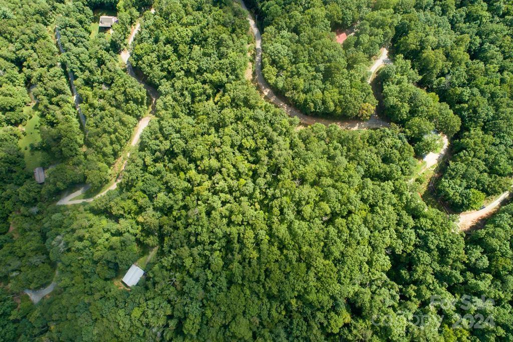 a view of a lush green forest