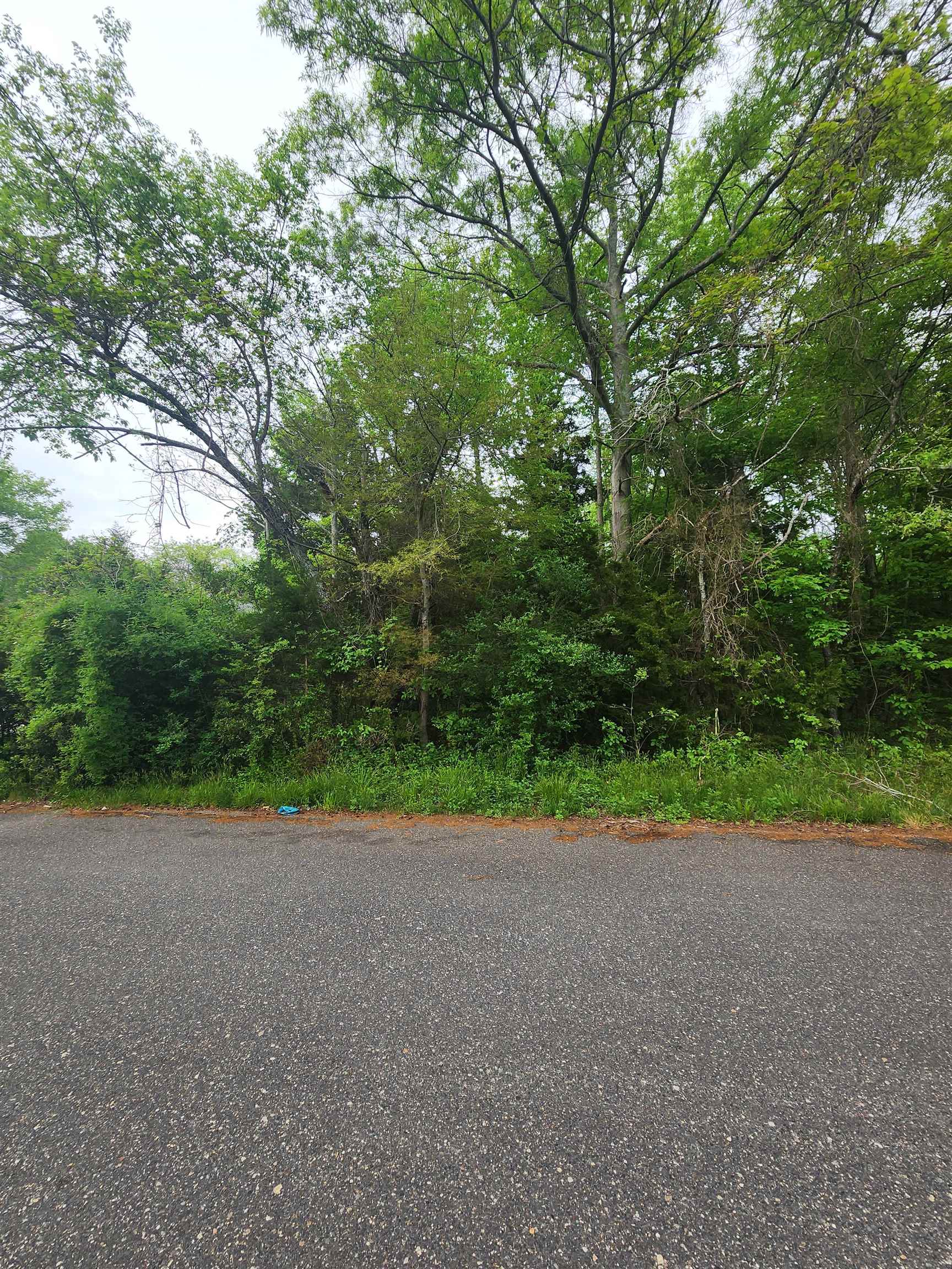 a view of a field with plants and trees in front of it