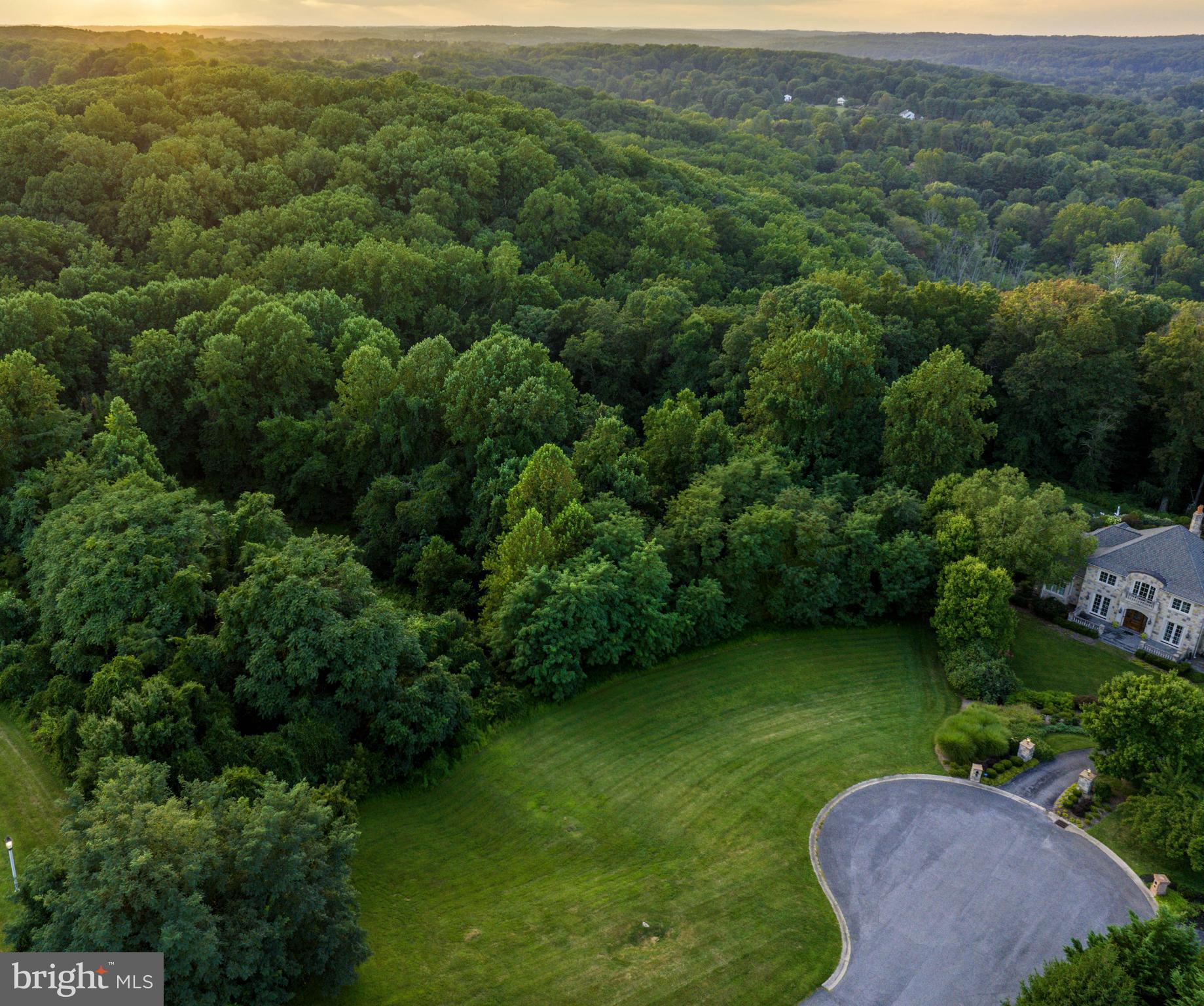 an aerial view of residential houses with outdoor space and trees