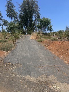 a view of a dirt road with trees in the background