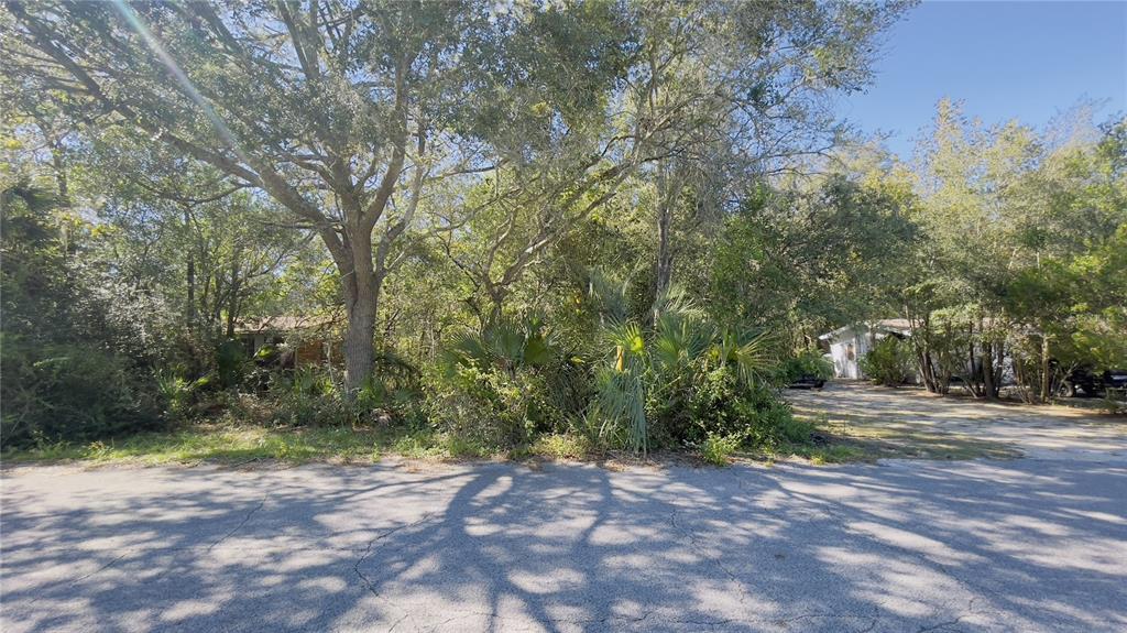 a view of a yard with plants and trees