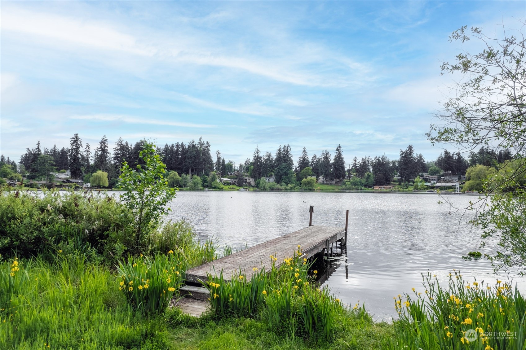 a view of a lake with houses in the back