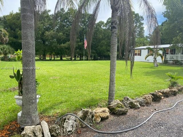 a view of a garden with lawn chairs