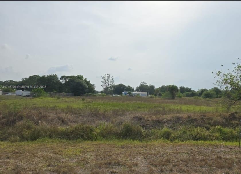 a view of a field with trees in background