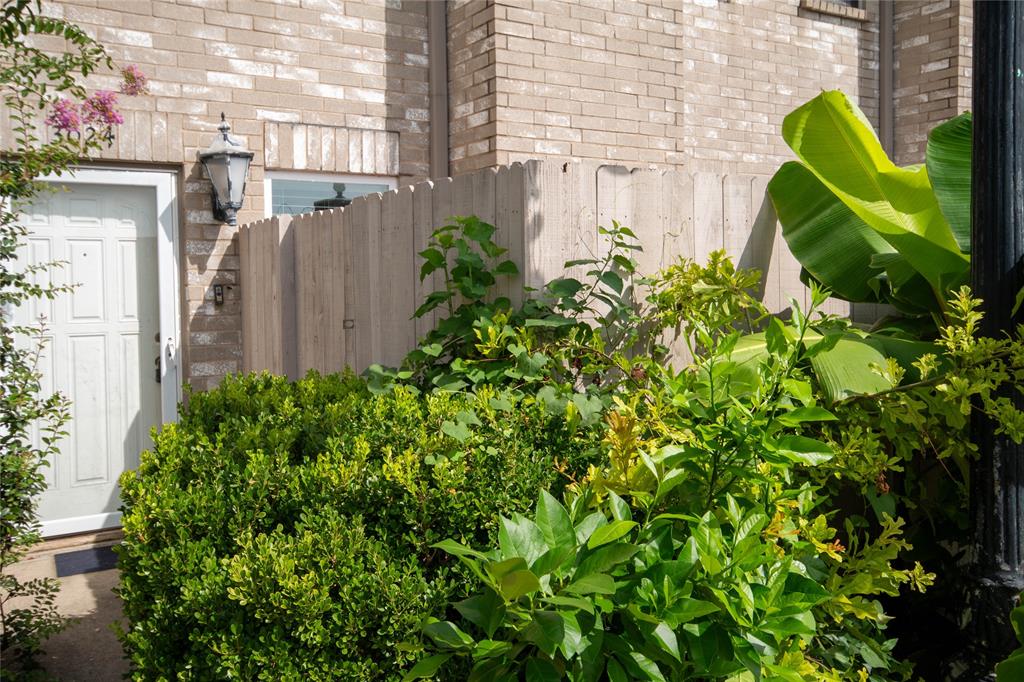 a view of a garden with plants