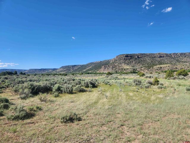 $30,000 | Lot 11 Conejos River Trail | West Conejos